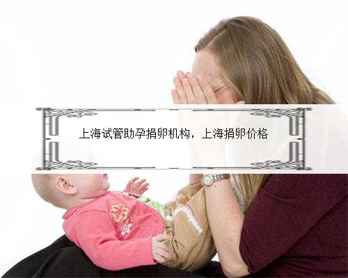 上海试管助孕捐